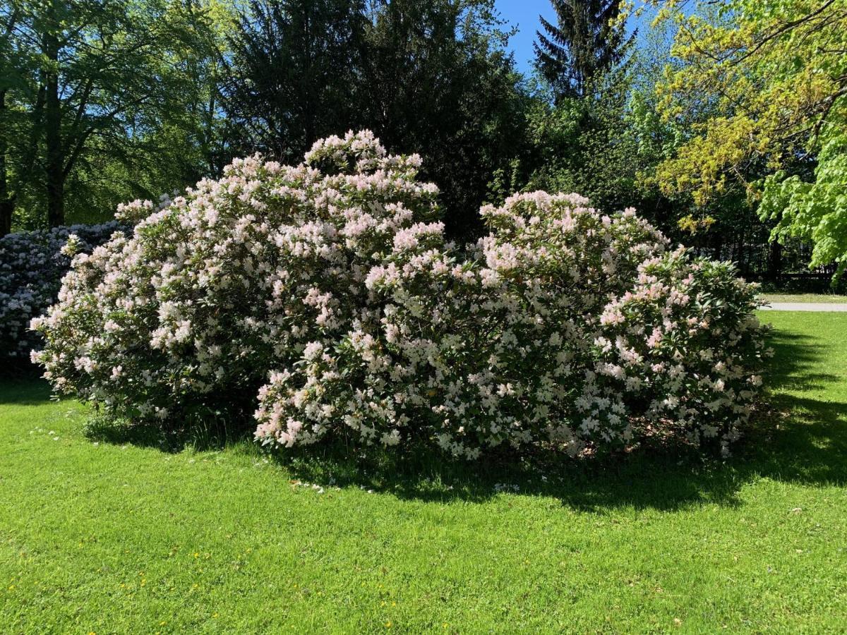 Schlosspark Grubhof - Mitterer سانكت مارتن باي لوفر المظهر الخارجي الصورة